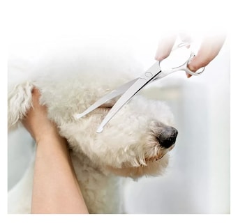 Foto 4 | Foto 4 | Kit de Tijeras para Peluquería Canina Eo Safe Imports Esi-7901 color Plata 9 PZAS