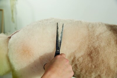 Foto 3 | Foto 3 | Shear Andis Premium 6.25 Straight Zurdo Professional - Venta Internacional.