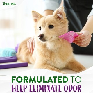 Foto 3 | Foto 3 | Champú Tropiclean Pure Plum High Concentrate 3.78 L Para Mascotas - Venta Internacional.