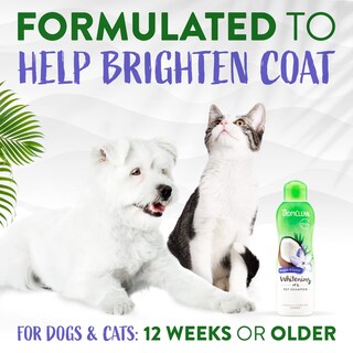 Foto 4 | Foto 4 | Champú Para Perros Tropiclean Awapuhi Coconut Whitening 600 Ml - Venta Internacional.