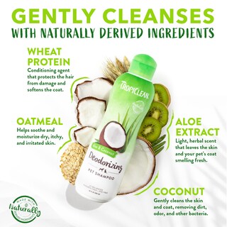 Foto 3 | Foto 3 | Champú Para Perros Tropiclean, Desodorizante Con Aloe Y Coco, 600 Ml - Venta Internacional.