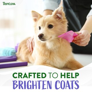 Foto 3 | Foto 3 | Champú Para Perros Tropiclean Awapuhi Coconut Whitening 9.5 L - Venta Internacional.