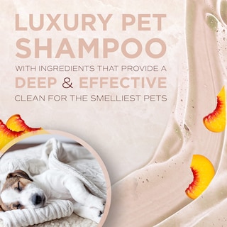 Foto 3 | Foto 3 | Champú Para Perros Tropiclean Spa Lavish Sporty Con Aroma Para Él, 1 Litro - Venta Internacional.