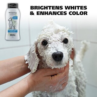 Foto 2 | Foto 2 | Champú Blanqueador Wahl Con Aroma A Pera Blanca Para Mascotas, 720 Ml - Venta Internacional.