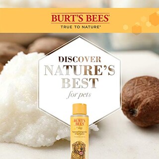 Foto 5 | Foto 5 | Champú Para Perros Burt's Bees Natural Hipoalergénico Karité Butter 4 - Venta Internacional.