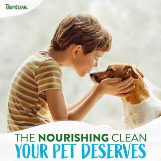 Foto 7 | Foto 7 | Perfume En Aerosol Tropiclean Baby Powder Para Perros 240 Ml - Venta Internacional.