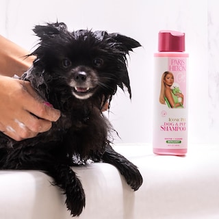 Foto 3 | Foto 3 | Champú Para Perros Paris Hilton Fresh Citrus Bergamota Con Aroma A Bergamota 480 Ml - Venta Internacional.