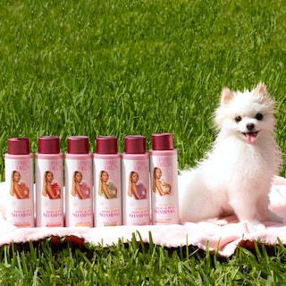 Foto 4 | Foto 4 | Champú Para Perros Paris Hilton Fresh Citrus Bergamota Con Aroma A Bergamota 480 Ml - Venta Internacional.