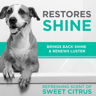 Foto 5 | Foto 5 | Champú Para Perros Tropiclean Perfect Fur Para Controlar La Caída De Pelo, 480 Ml - Venta Internacional.