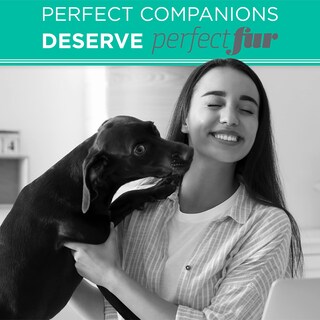 Foto 7 | Foto 7 | Champú Para Perros Tropiclean Perfect Fur Para Controlar La Caída De Pelo, 480 Ml - Venta Internacional.