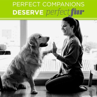 Foto 6 | Foto 6 | Champú Para Perros Tropiclean Perfect Fur Sheding Control 480 Ml - Venta Internacional.