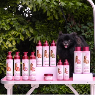 Foto 5 | Foto 5 | Champú Para Perros Paris Hilton Sin Perfume, 480 Ml, Vegano - Venta Internacional.