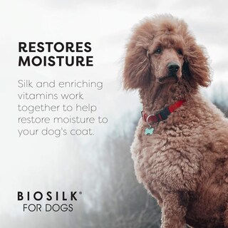 Foto 5 | Foto 5 | Aerosol Acondicionador Y Desenredante Biosilk Silk Therapy, 200 Ml, Para Perros - Venta Internacional.