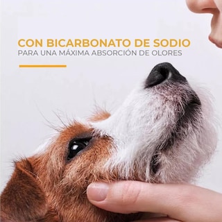 Foto 4 | Foto 4 | Shampoo Para Cachorros Arm & Hammer Aroma Agua De Coco 591ml