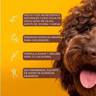 Foto 6 | Foto 6 | Shampoo Para Cachorros Arm & Hammer Aroma Agua De Coco 591ml