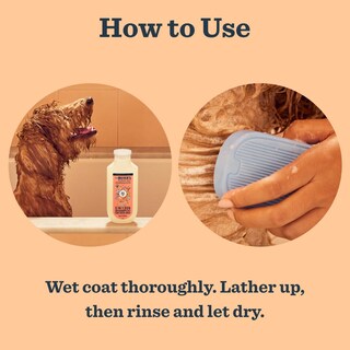 Foto 4 | Foto 4 | Champú Para Perros Mrs. Meyer's Clean Day 3 En 1 White Peach 414 Ml - Venta Internacional.