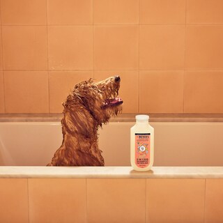 Foto 7 | Foto 7 | Champú Para Perros Mrs. Meyer's Clean Day 3 En 1 White Peach 414 Ml - Venta Internacional.