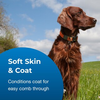 Foto 4 | Foto 4 | Creme Rinse Petag Fresh 'n Clean Classic Fresh Scent 3.78 L - Venta Internacional.