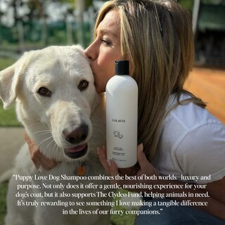 Foto 4 | Foto 4 | Champú Para Perros Lolavie Puppy Love 473 Ml Paquete De 2 Unidades Ph Balanceado - Venta Internacional.