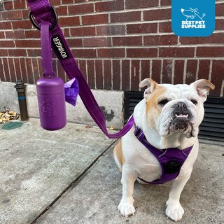 Foto 5 | Foto 5 | Soporte Para Bolsas De Excrementos De Perro Y Correa, Los Mejores Suministros Para Mascotas - Venta Internacional.