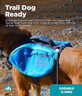 Foto 3 | Foto 3 | Mochila Para Perros Outward Hound Daypak Blue Medium - Venta Internacional.