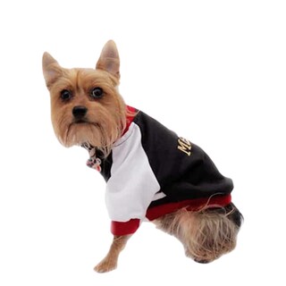 Foto 2 | Foto 2 | Chamarra México Mundial Futbol Pet Pals para Perro