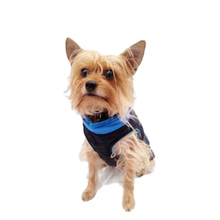 Foto 2 | Foto 2 | Chaleco Sport Polar Pet Pals Azul para Perro