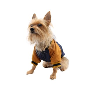 Foto 2 | Foto 2 | Chamarra Universitaria Pet Pals Azul para Perro