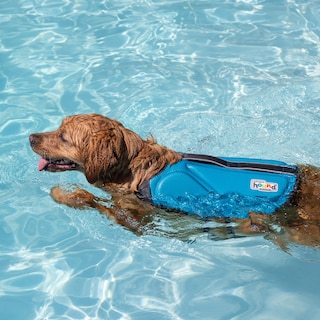 Foto 6 | Foto 6 | Chaleco Salvavidas Para Perros Outward Hound Dawson Swim, Azul, Pequeño - Venta Internacional.