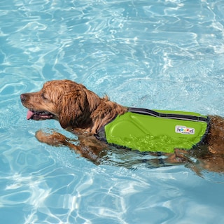 Foto 6 | Foto 6 | Chaleco Salvavidas Para Perros Outward Hound Dawson Swim Green Xs - Venta Internacional.