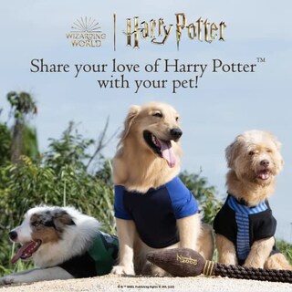 Foto 6 | Foto 6 | Camiseta Para Mascotas Harry Potter Hufflepuff, Talla Mediana, Para Perro - Venta Internacional.