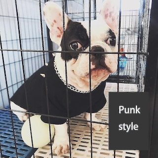 Foto 4 | Foto 4 | Dog Apparel - Chaleco De Verano Para Perros, Estilo Prickly Punk, Talla M, Color Negro - Venta Internacional.