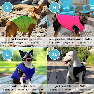 Foto 5 | Foto 5 | Chaleco Acolchado Gooby, Forro Polar Cálido, Azul, Para Perros Pequeños Y Medianos - Venta Internacional.