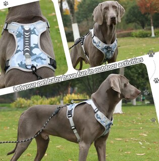 Foto 3 | Foto 3 | Xtellar Pechera Arnés De Seguridad Ajustable Para Perros De Todos Los Tamaños