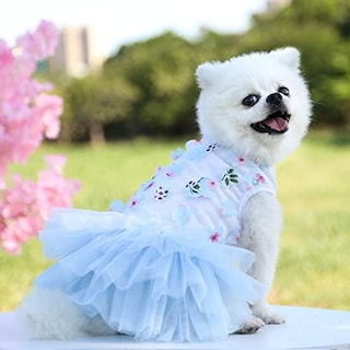 Foto 1 | Foto 1 | Vestido Para Perro Huoguo Summer Tutú Princess Para Perros Pequeños - Venta Internacional.