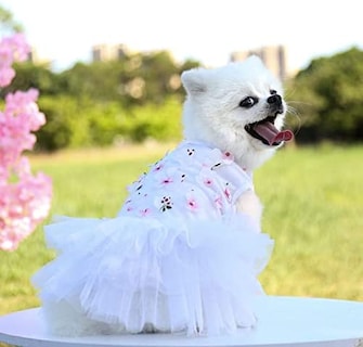Foto 2 | Foto 2 | Vestido Para Perro Huoguo Summer Tutú Princess Para Perros Pequeños - Venta Internacional.