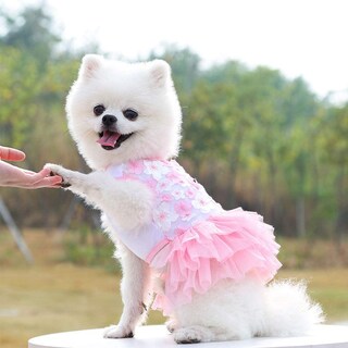 Foto 1 | Foto 1 | Vestido De Ropa Para Perros Pequeños, Medianos Y Grandes, Niñas Y Niños - Venta Internacional.