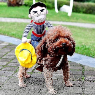 Foto 2 | Foto 2 | Disfraz De Perro Huoguo, Chaqueta Vaquera De Halloween Para Perros - Venta Internacional.