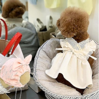 Foto 4 | Foto 4 | Vestido De Verano Huoguo De Dog Apparel Para Perros Y Mascotas, Falda De Peluche - Venta Internacional.