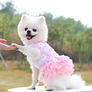 Foto 1 | Foto 1 | Vestido De Ropa Para Perros Pequeños, Medianos Y Grandes, Niñas Y Niños - Venta Internacional.