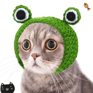 Foto 4 | Foto 4 | Set De Sombreros Para Disfraz De Mascotas Para Gatos Y Perros Pequeños (5 Unidades) - Venta Internacional.