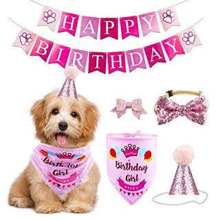 Foto 1 | Foto 1 | Set De Artículos Para Fiestas De Cumpleaños Gagiland Dog Para Perros Medianos Y Grandes - Venta Internacional.