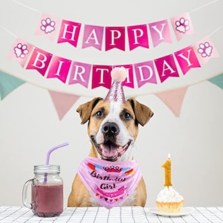 Foto 5 | Foto 5 | Set De Artículos Para Fiestas De Cumpleaños Gagiland Dog Para Perros Medianos Y Grandes - Venta Internacional.