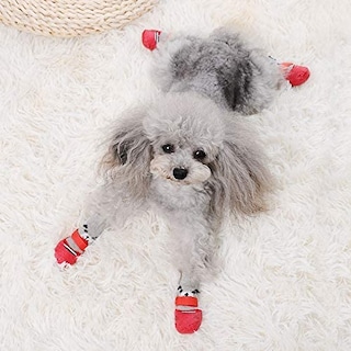 Foto 2 | Foto 2 | Botas Para Perros Y Gatos, Zapatos Y Calcetines Impermeables Para Perros Pequeños - Venta Internacional.