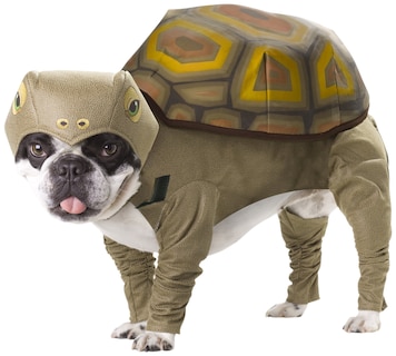 Foto 1 | Foto 1 | Disfraz De Perro California Disfraces Tortoise Animal Planet Xs - Venta Internacional.