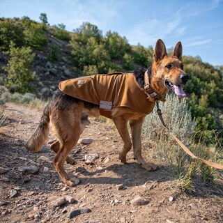 Foto 5 | Foto 5 | Chaleco Para Perros Carhartt Quick Duck Jac Repelente Al Agua Marrón Pequeño - Venta Internacional.
