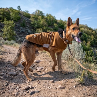 Foto 5 | Foto 5 | Chaleco Para Perros Carhartt Quick Duck Jac Hidrófugo Marrón - Venta Internacional.