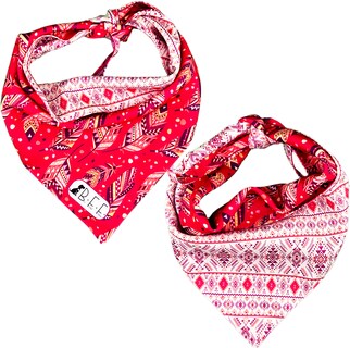 Foto 5 | Foto 5 | Kit 3 Bandanas Artesanales Para Perro Bff 036-tipi Paliacate Doble Vista 6 Looks Diferentes.