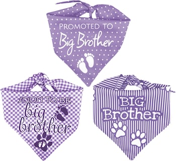 Foto 3 | Foto 3 | Kit 3 Bandanas Artesanales Para Perro Bff 040-hermano Mayor-lavanda Paliacate Doble Vista 6 Looks Diferentes.