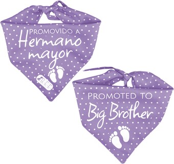 Foto 6 | Foto 6 | Kit 3 Bandanas Artesanales Para Perro Bff 040-hermano Mayor-lavanda Paliacate Doble Vista 6 Looks Diferentes.